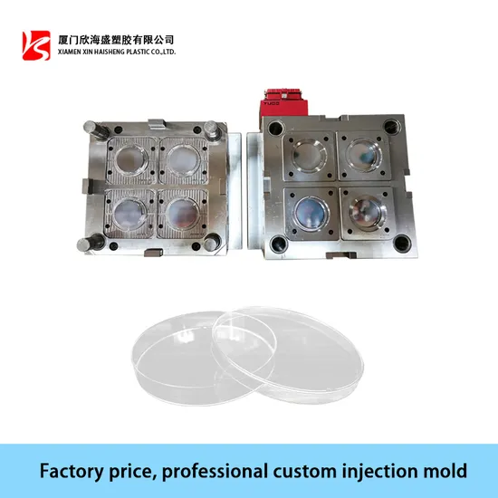 Plastic Injection Mold Maker High Quality OEM Medical Mold for Injection Molding 